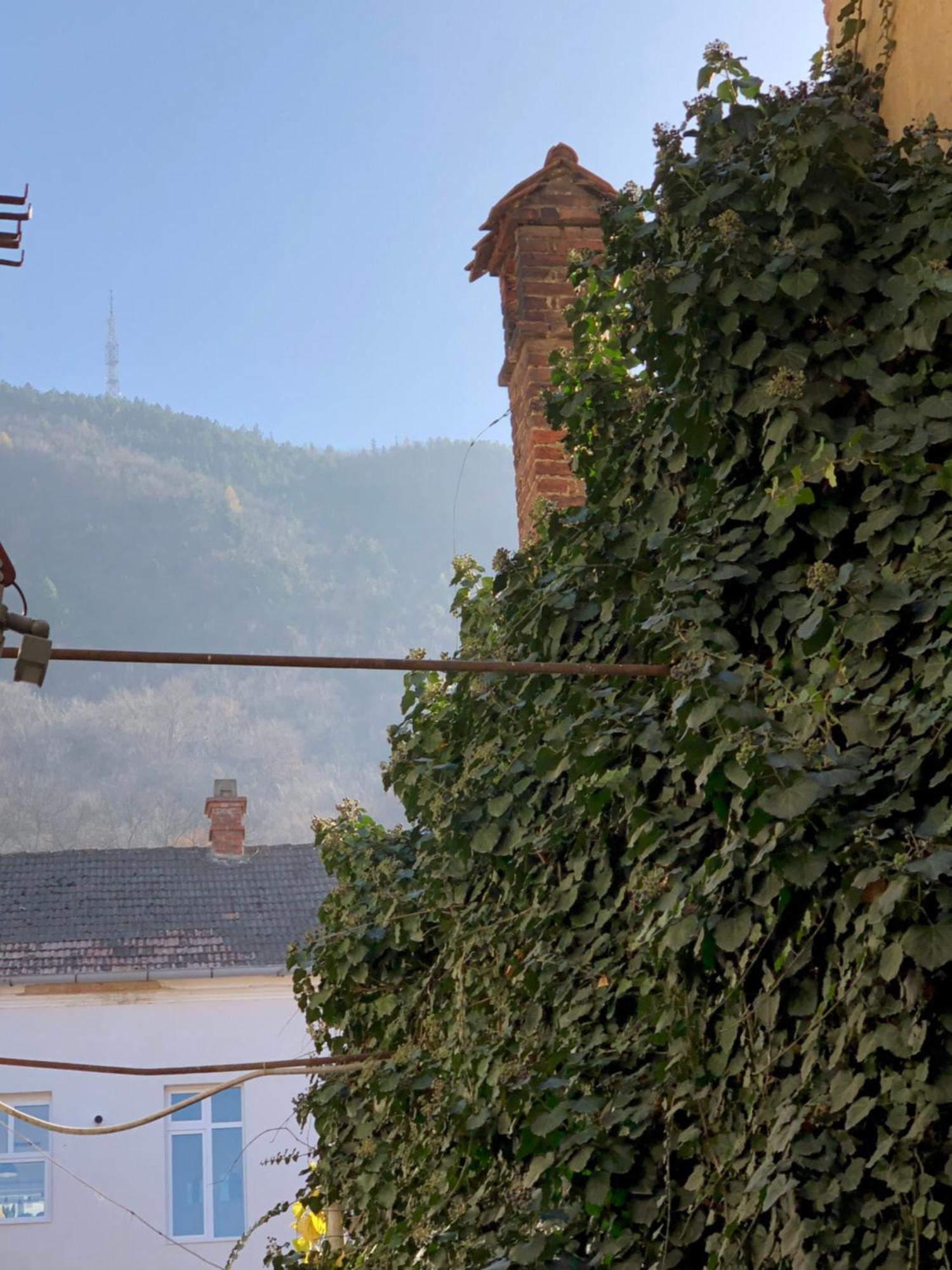 Charming Old Town Flat With Mountain View Appartement Braşov Buitenkant foto
